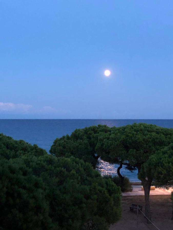 Apartment Direkt Am Strand Бланес Экстерьер фото